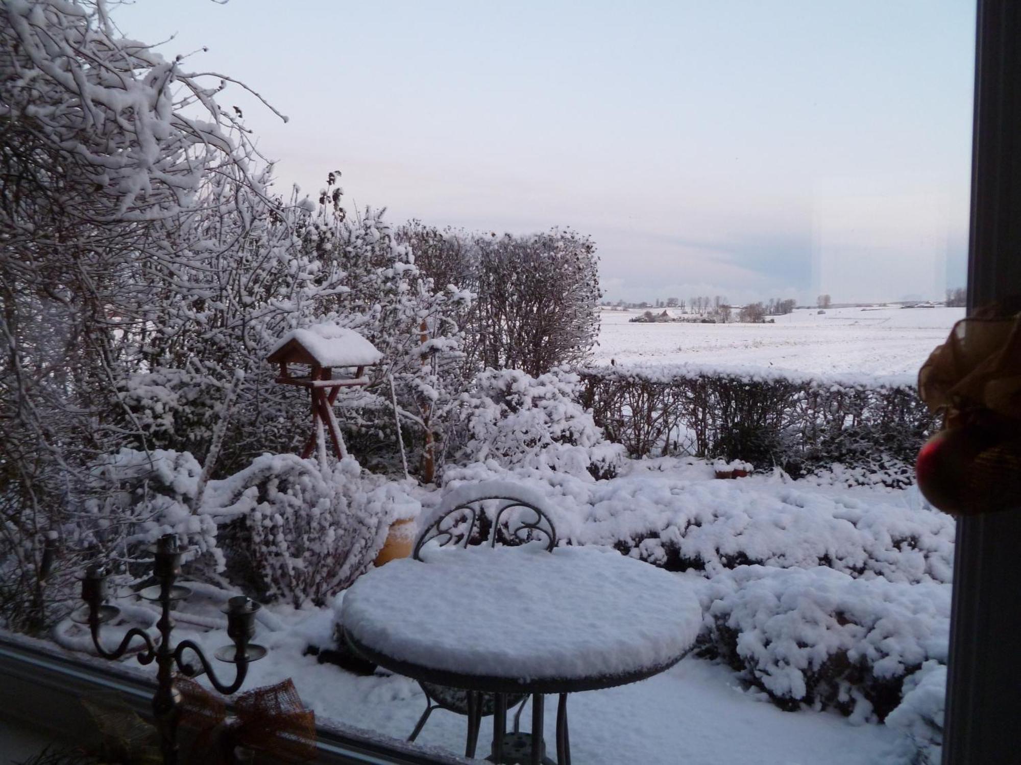 Guesthouse Kolibriehuys Nieuwkerke ภายนอก รูปภาพ