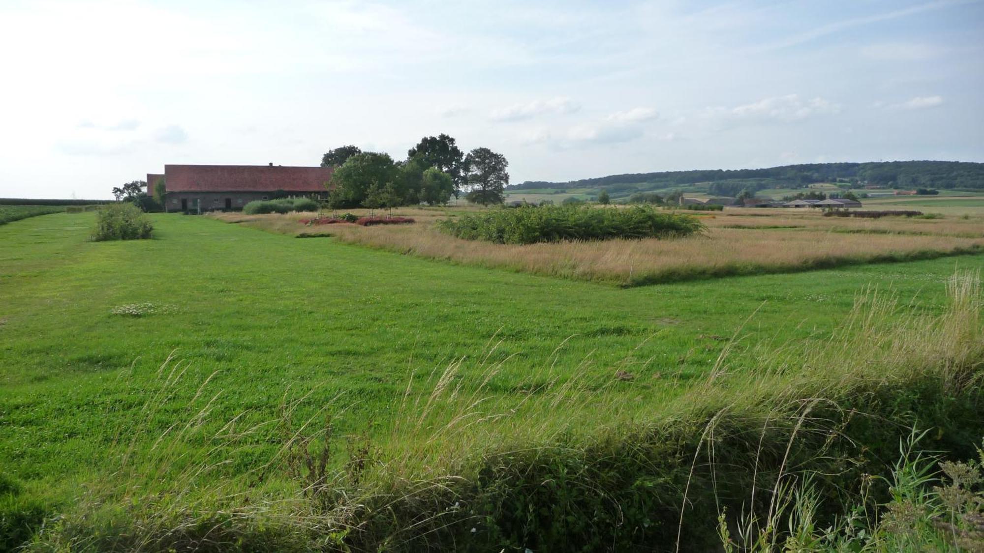 Guesthouse Kolibriehuys Nieuwkerke ภายนอก รูปภาพ