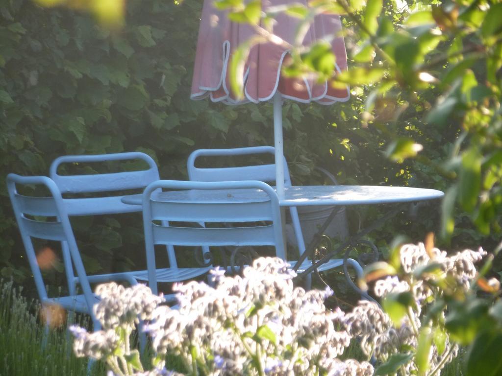 Guesthouse Kolibriehuys Nieuwkerke ภายนอก รูปภาพ