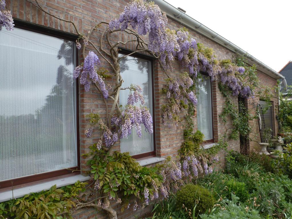Guesthouse Kolibriehuys Nieuwkerke ภายนอก รูปภาพ