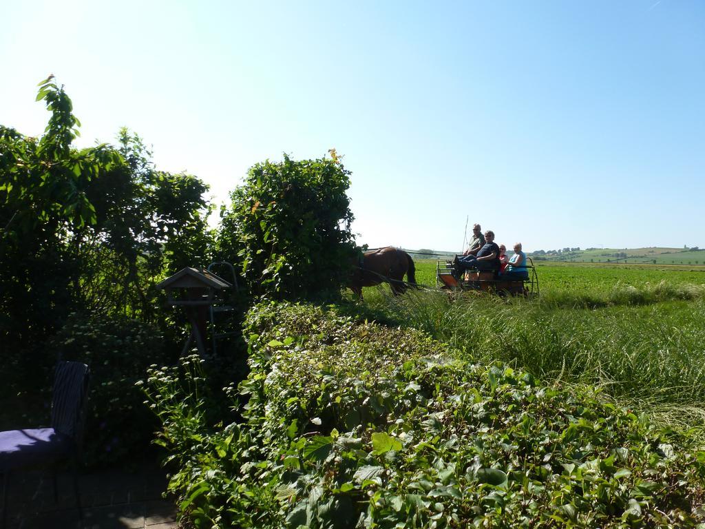 Guesthouse Kolibriehuys Nieuwkerke ภายนอก รูปภาพ