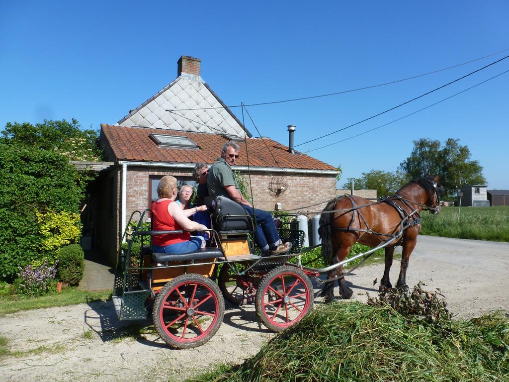 Guesthouse Kolibriehuys Nieuwkerke ภายนอก รูปภาพ