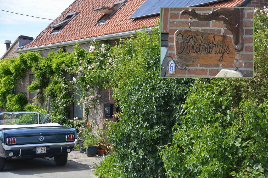 Guesthouse Kolibriehuys Nieuwkerke ภายนอก รูปภาพ
