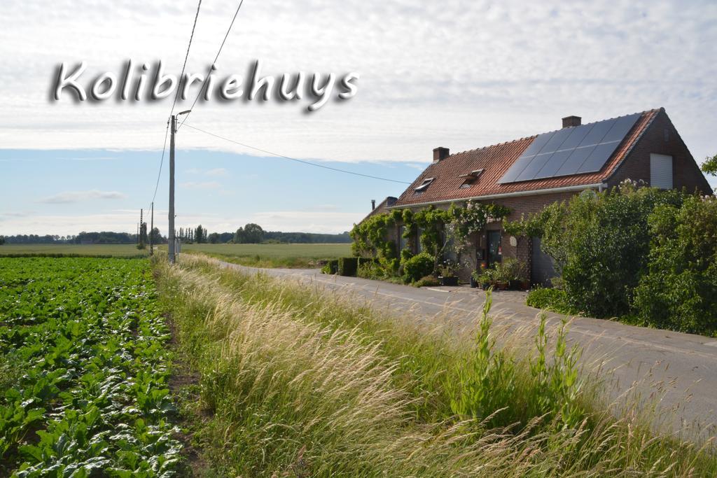 Guesthouse Kolibriehuys Nieuwkerke ภายนอก รูปภาพ