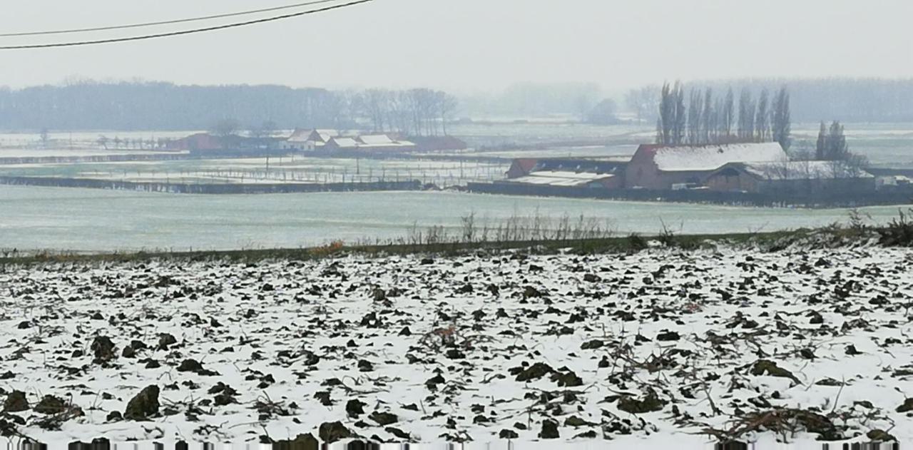 Guesthouse Kolibriehuys Nieuwkerke ภายนอก รูปภาพ